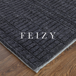 Feizy