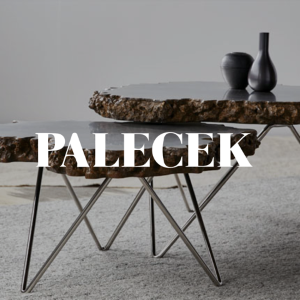 Palecek