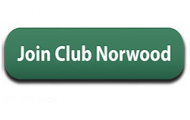 Norwood Furniture – Christmas Decor Sale – Norwood Furniture