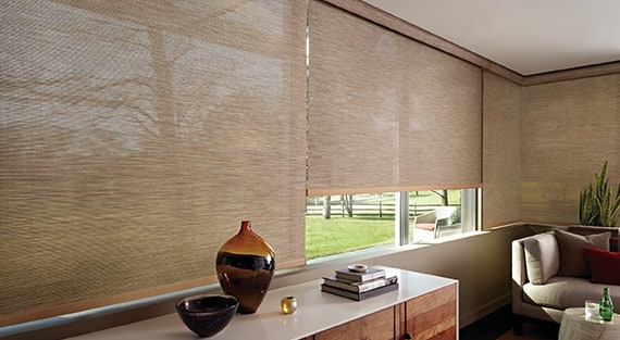 Designer Screen Shades, near Paramus, New Jersey (NJ) and other Hunter Douglas roller and solar shades