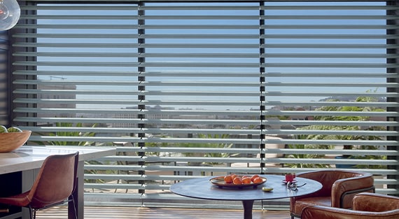 Hunter Douglas Pirouette® Window Shadings near Paramus, New Jersey (NJ) Sheers, privacy sheers, window sheers