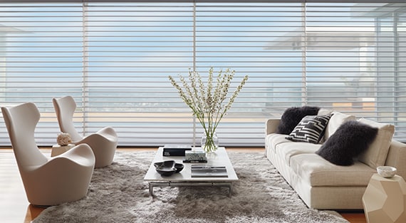 Hunter Douglas Silhouette® Window Shadings near Paramus, New Jersey (NJ) Sheers, privacy sheers, window sheers