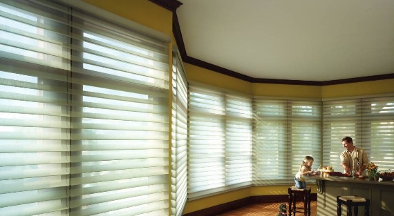 Silhouette® Window Shadings near Wayne, New Jersey (NJ) Hunter Douglas Window Shades, Sheers, Sheer Shadings