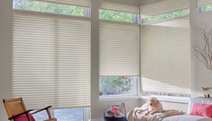 Hunter Douglas Sonnette® Cellular Roller Shades Near Paramus, New Jersey (NJ)